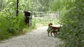 生活|如果《向往的生活》来峰峰,取景地一定在这里……