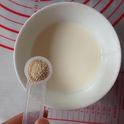  面包|蔓越莓淡奶油软面包