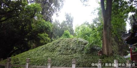 武侯墓|诸葛亮陵墓1700年无人敢盗,只因坟边大树太神秘了!