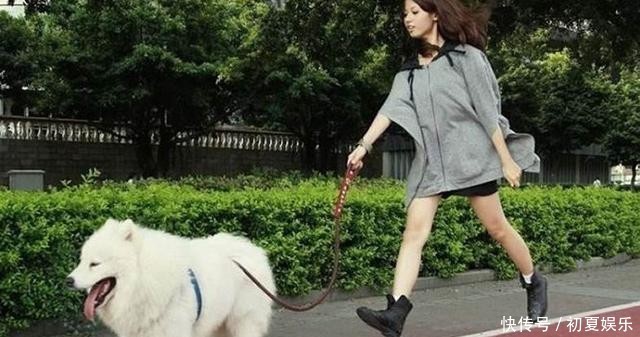  位女孩|官方通报老人被狗绳绊倒后身亡，不能让老人白死