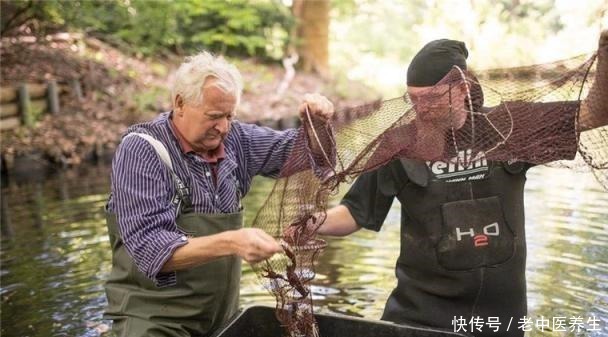 中国|小龙虾“横行”德国,待国人到那开店后,当地人“沉沦”