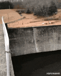 广场|搞笑GIF:广场新来的舞帝