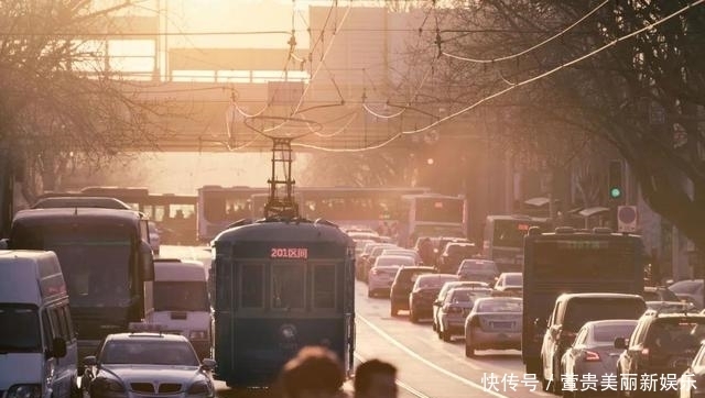 看过|看过太多的海,仍为这座“北方明珠”着迷