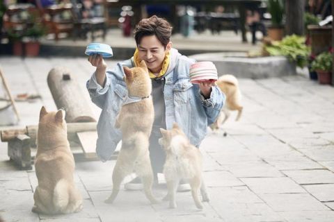  向往|《向往》中情商最低的嘉宾何炅和黄磊都带不动，大写的尴尬