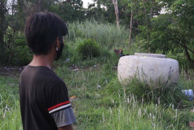  发现|男孩发现森林中的大坛子爬满苍蝇，走近一看叔叔躺在里面已经死亡