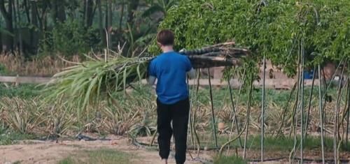 自言自语|任嘉伦自言自语变话痨,国超语录被更新,谭松韵却能让他乖乖闭嘴