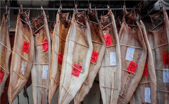 马路|回忆杀卢湾区超嗲百年马路,上海人永远记得你