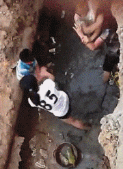 GIF|搞笑GIF：你们三再看啥玩意
