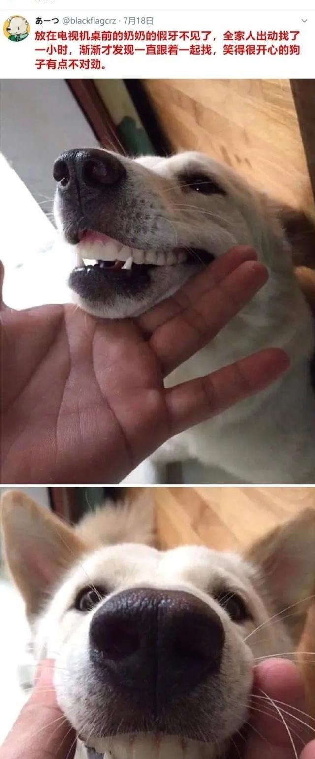 手机|“求大家帮我儿子取个名吧!”网上取名被网友评论笑到窒息哈哈