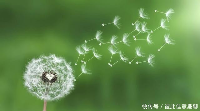 不靠|爱吹牛的人,一般都不靠谱