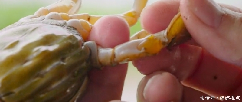  新片|《舌尖上的中国》团队又出顶级新片，一集就馋哭我！