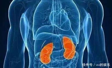 肾虚|尿中有很多泡沫,是因为肾虚吗三个关于肾虚的问题,互相比较