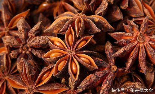 八角的味道|常用的八角有特别用法,感兴趣的赶紧学学,能知道不少