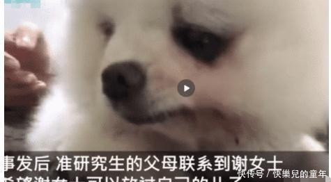 事件|准研究生虐狗事件后续：不过是脚踹而已，为何要上升到开除学籍？