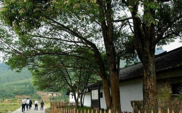 房前|古人为何说:“房前不栽树,屋后不种花”到底有何深意?