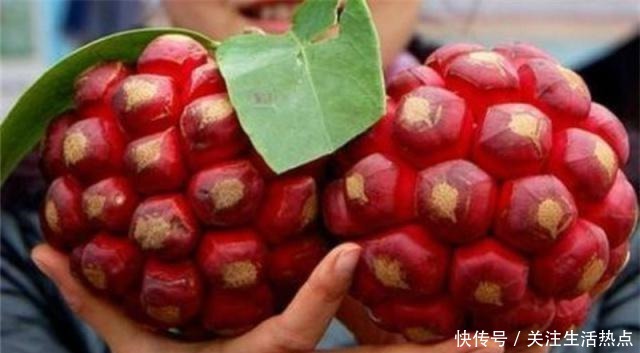 上榜|公认“最难吃”的4种水果,榴莲没有上榜,全吃过的敬你是条汉子