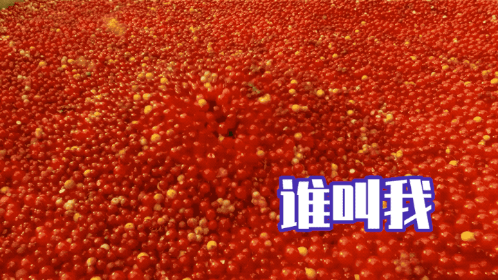 刘昊然|《一点就到家》预告首发,彭昱畅、刘昊然笑点超多,有望成黑马