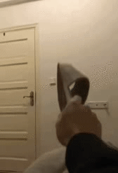 gif|搞笑gif:为了藏5元私房钱,又逼疯了一个