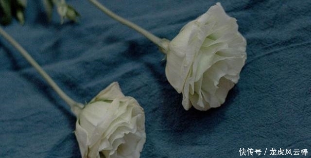 着想|“姐姐力”可打高分的星座女,性格独立,很善于为他人着想