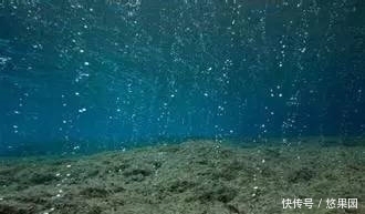 到底|地球最严重的大灭绝到底发生了啥？下一次大灭绝是什么时候？