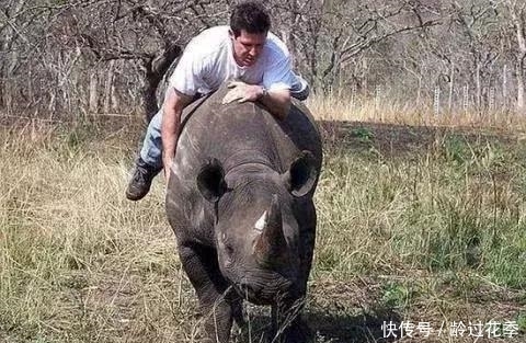 国外|国外男子救了一只受伤的犀牛，几年后，犀牛的出现很让人感动