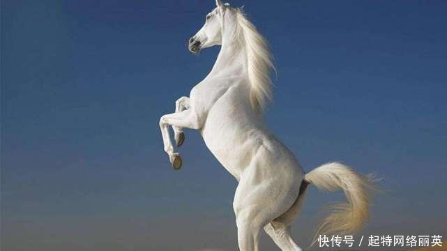 关羽|古代最厉害的5匹战马连关羽坐骑也只排第二第一很少有人知道