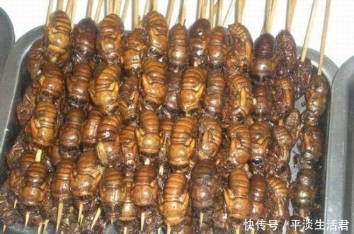 告别|告别羊肉串,拒绝小龙虾,农林里的害虫,如今成了夜市上的高端菜