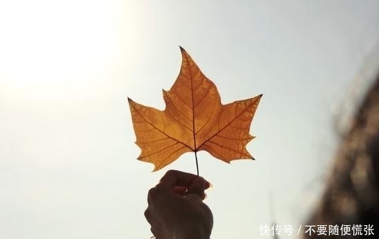 精明|身上有这几种特点的人,表面上是糊涂,实际上很精明,值得交往