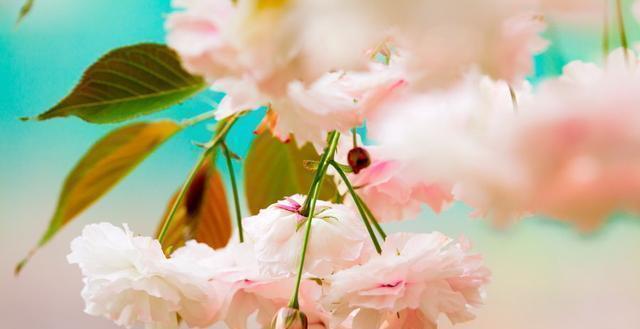 必读|发人深省的24句人生感悟句子,精辟入骨,一生必读