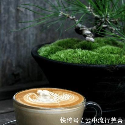 一块钱|一块钱的超值闲扯——意大利咖啡之魂,其一