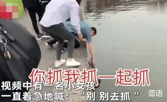阻扰|气愤女子不顾阻扰，几次抓西湖小鸳鸯，连小女孩都大喊别抓