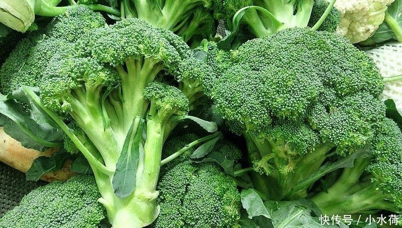 虫卵|5种最“脏”的蔬菜,虫卵多肉眼却看不见,第3种我们经常吃