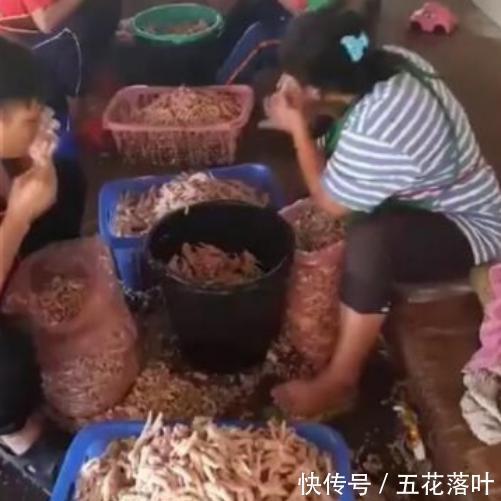 速度|无骨鸡爪是人工啃出来的鸡爪去骨有4种方法,但是它速度最快