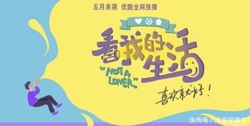 综艺|《汪喵物语》开播即火!悦己经济的时代就要来了