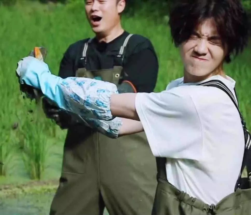 对待|《向往》他不满黄磊差别对待连催10次鹿晗去干活,原因却很暖心