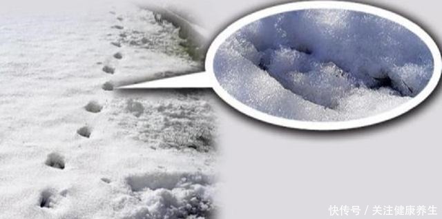 东西|历史上首位劫机成功的人,钱到手后就直接从高空一跃,从此消失了