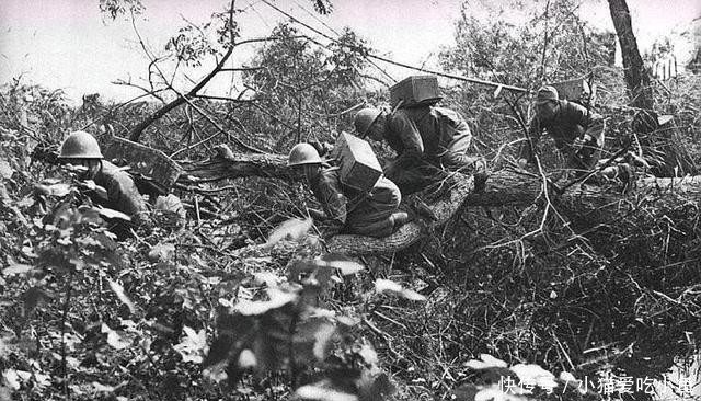 师团|抗日战争金官桥之战,国军主力撤离预弃车保帅,为何却重创日军?