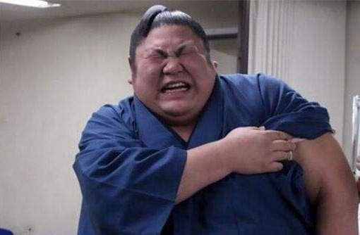 真的|日本史上最重相扑,一年内狂减 200 斤,真的不要太萌了