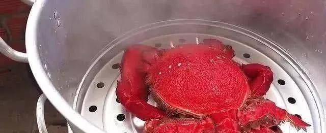 螃蟹|小伙买了一只4斤重的“大螃蟹”,煮熟后打开螃蟹盖瞬间被激怒了