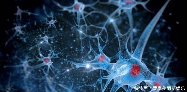 看完|人类大脑的“存储量”相当于几G的硬盘?看完你会觉得潜力无限