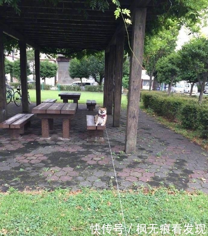 下车|幽默笑话:今天坐公交,到站了,一大妈抱着一麻袋西瓜要下车