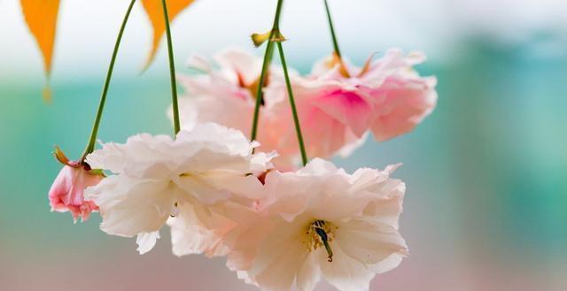 精辟|发人深省的24句人生感悟句子,精辟入骨,一生必读