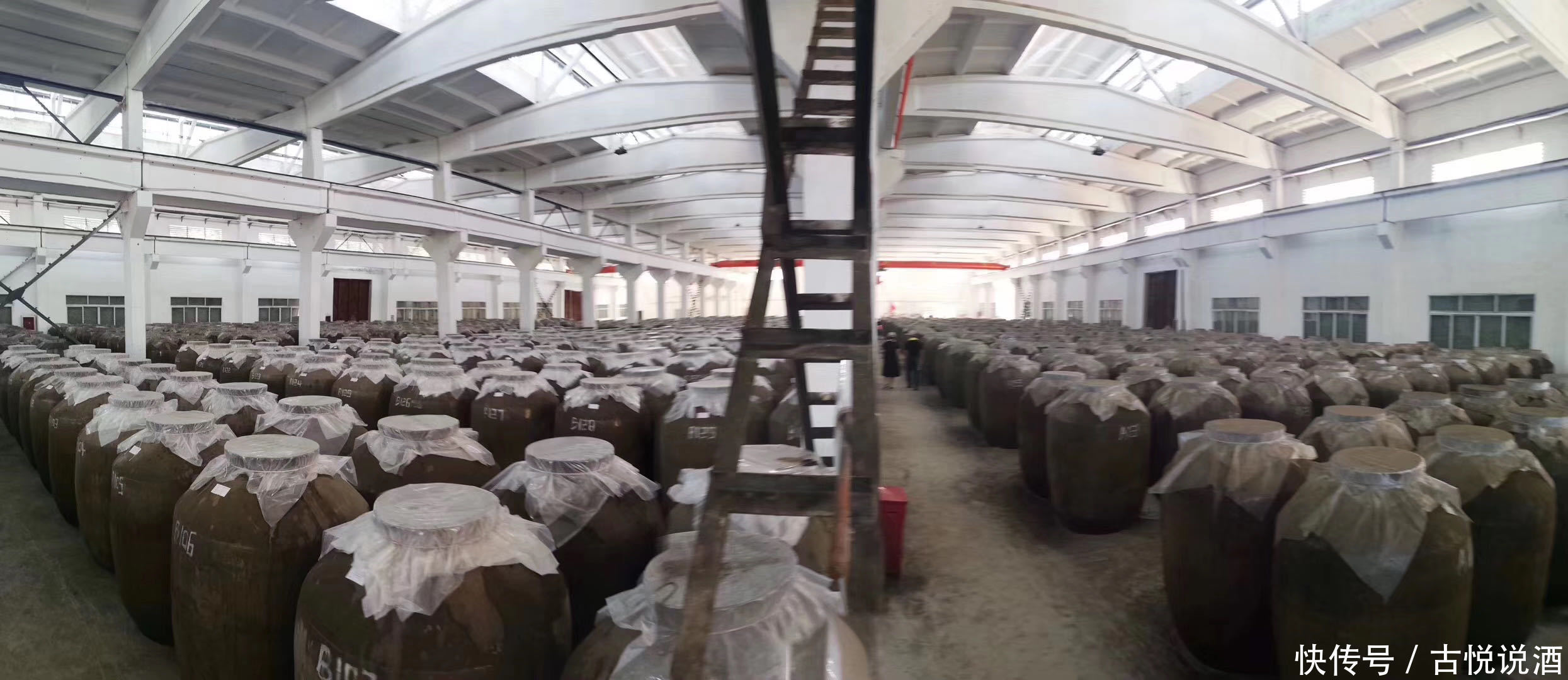 白酒|喝酱香型白酒必须要懂的19个知识点 做一个有文化的酱酒人