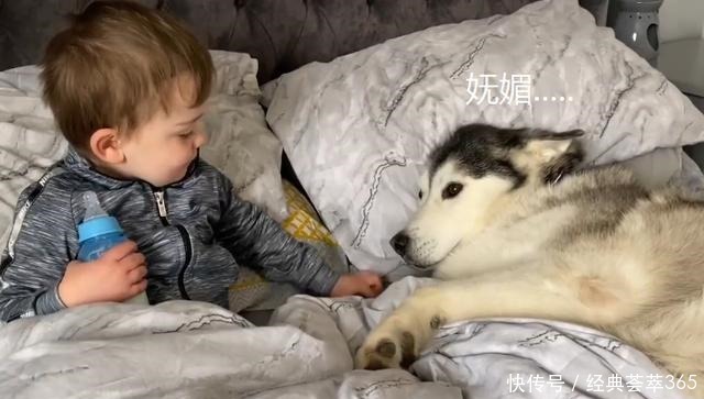  爸爸|小主人把爸爸赶走，却要让二哈陪它睡，场景让人很暖心啊