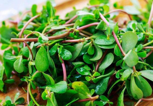 七月|七月,这菜一次囤20斤,放冰箱冻起来,特省时间,家人吃脾胃好