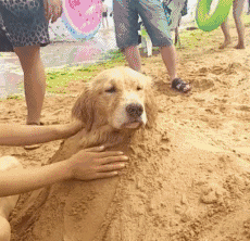 gif|搞笑gif趣图:用力踩呀,救人要紧