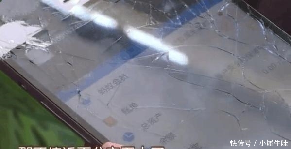  贷款|21岁大学生为了在游戏里变强欠下25万贷款，父亲：你是畜生啊