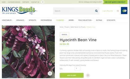 适合|冬天吃不起菜新西兰华人6月种菜攻略,适合新人上手