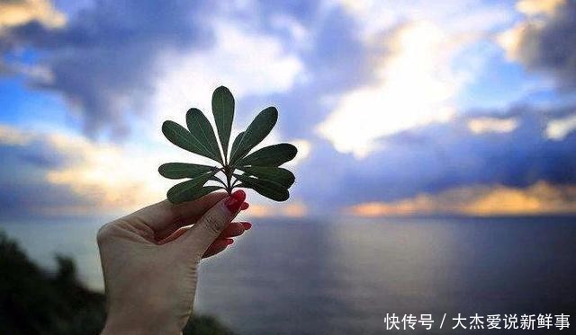 娘们|我的那群超市娘们（一）