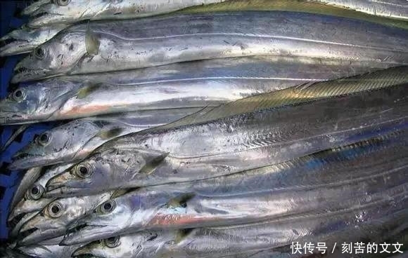  认出|海鲜大全, 你能认出多少